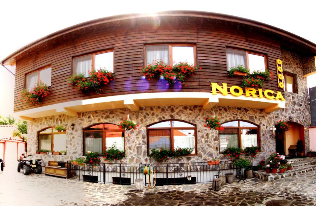 Pensiunea Norica Gura Râului Exterior photo
