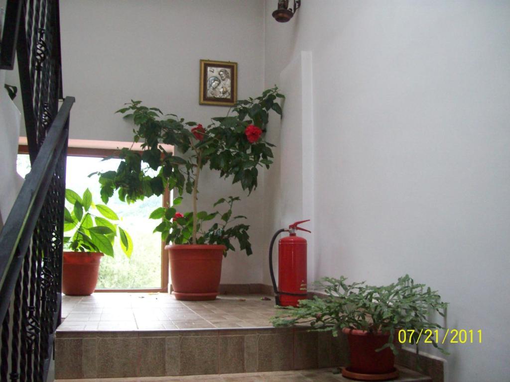 Pensiunea Norica Gura Râului Room photo